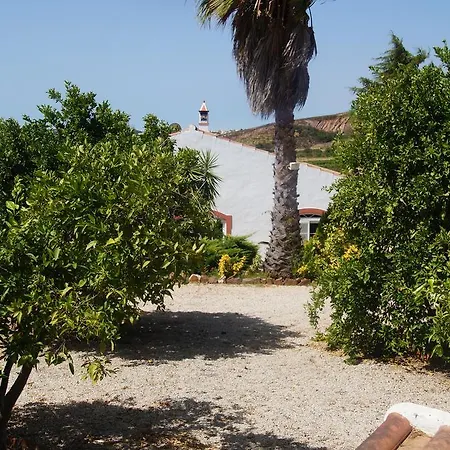 Quinta Moirata *